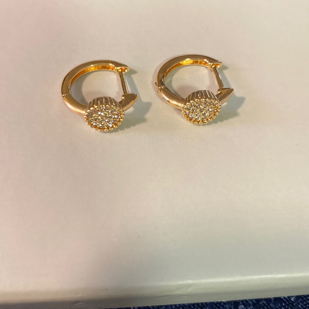 Never worn earrings !